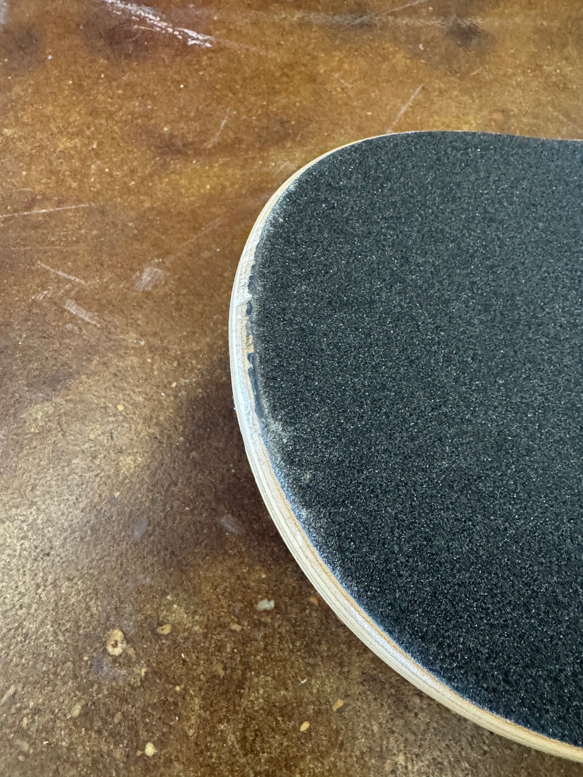 *BLEMISH* Antihero Pigeon Complete Skateboard Blue 8.25"