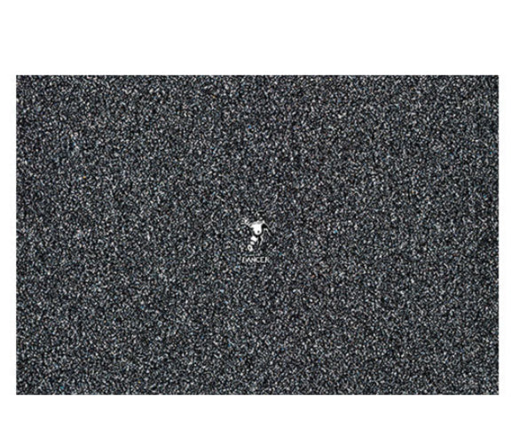 MOB Dancer CPH Tiny Logo Griptape close 2