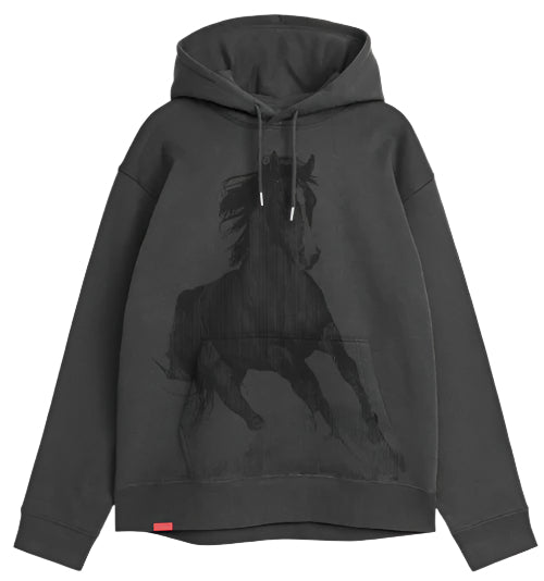 Jacuzzi Horse Hoodie - Charcoal