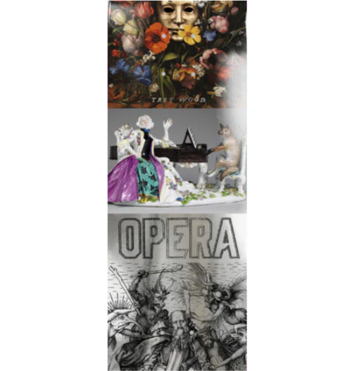 Opera Wood Still Life EX7 Skateboard Deck 8.25" close