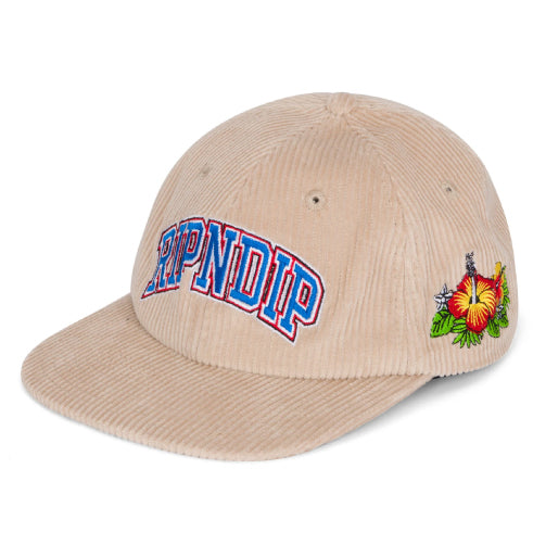 Rip N Dip Summer Friends Corduroy Snapback Hat - Tan