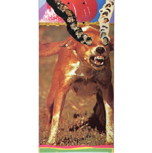Baker T-Funk Shrapnel Deck 8.25"