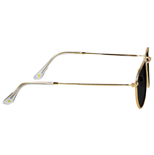 Glassy Turner Polarized Sunglasses - Gold/Black