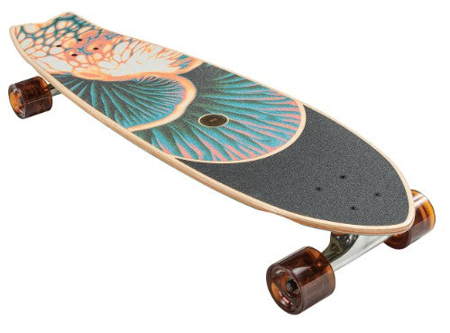 Globe Chromantic Bio-Morph Cruiser Complete 33"