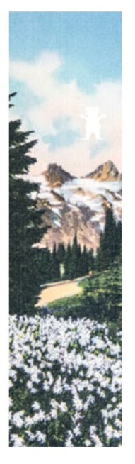 Grizzly Antique Postcard Griptape
