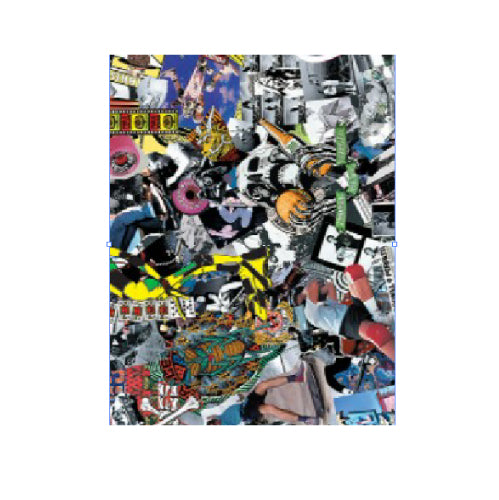Powell Peralta Collage Griptape 10.5”
