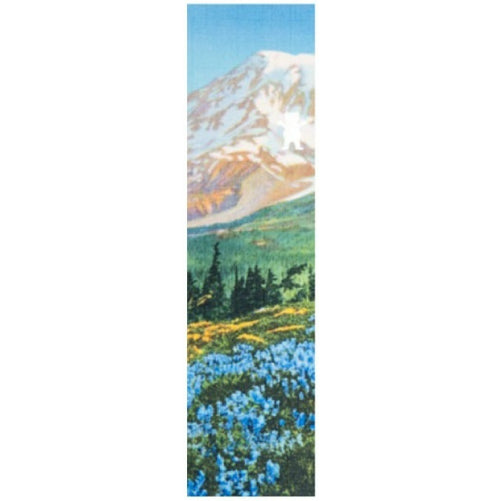 Grizzly Antique Postcard Griptape