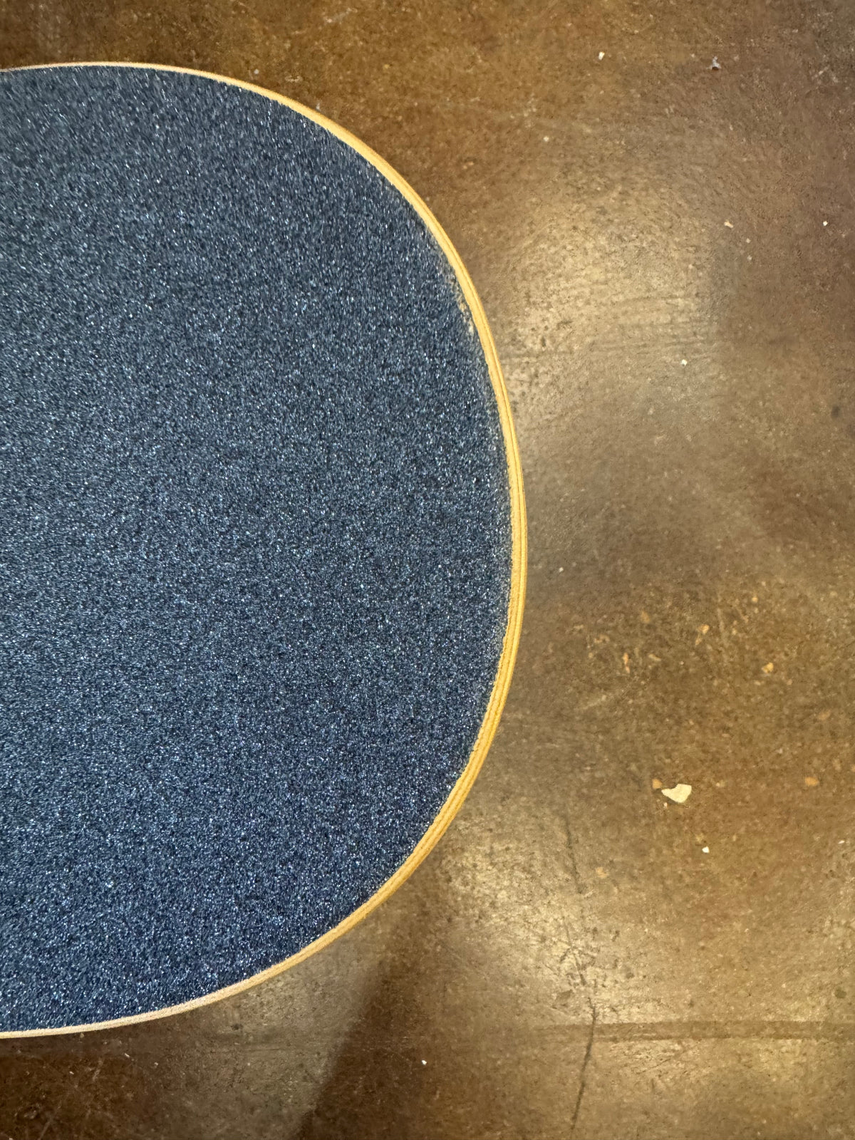*BLEMISH* Antihero Pigeon Complete Skateboard Blue 8.25"