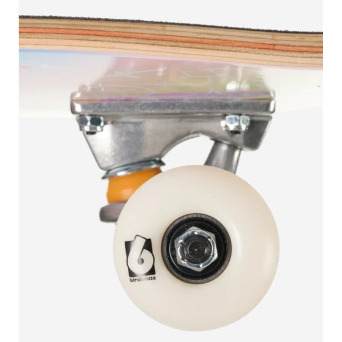 Birdhouse Armanto Bubble Complete Skateboard 8" wheel