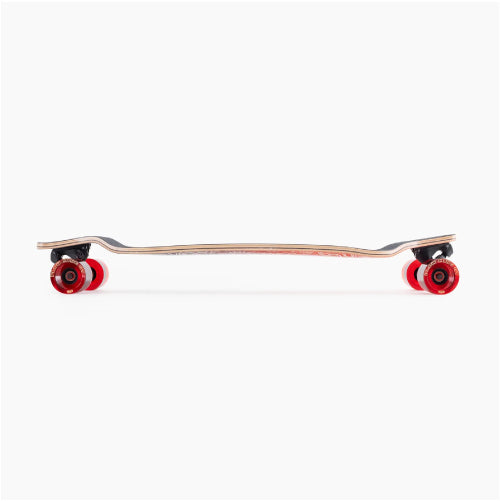 Landyachtz Evo 36 Bear Complete 36" profile