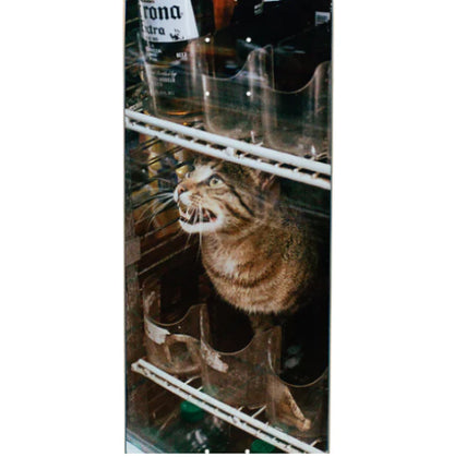 GX1000 Bodega Cat Skateboard Deck 8.375"
