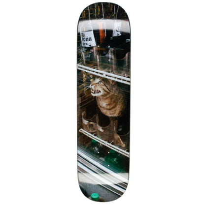 GX1000 Bodega Cat Skateboard Deck 8.375"
