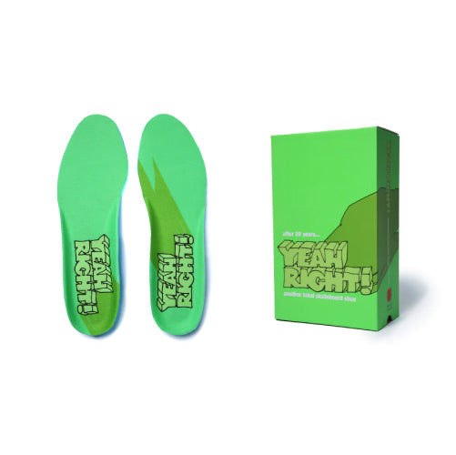 Lakai Cambridge Skateboarding Shoe - Green/Green