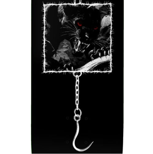 Deathwish O'Dwyer Captive Skateboard Deck 8.25" graphic