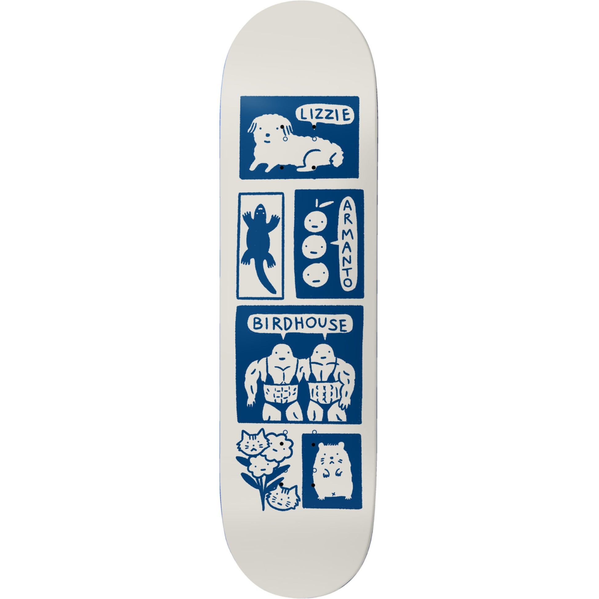 Birdhouse Armanto Catalina Skateboard Deck 8.25" full