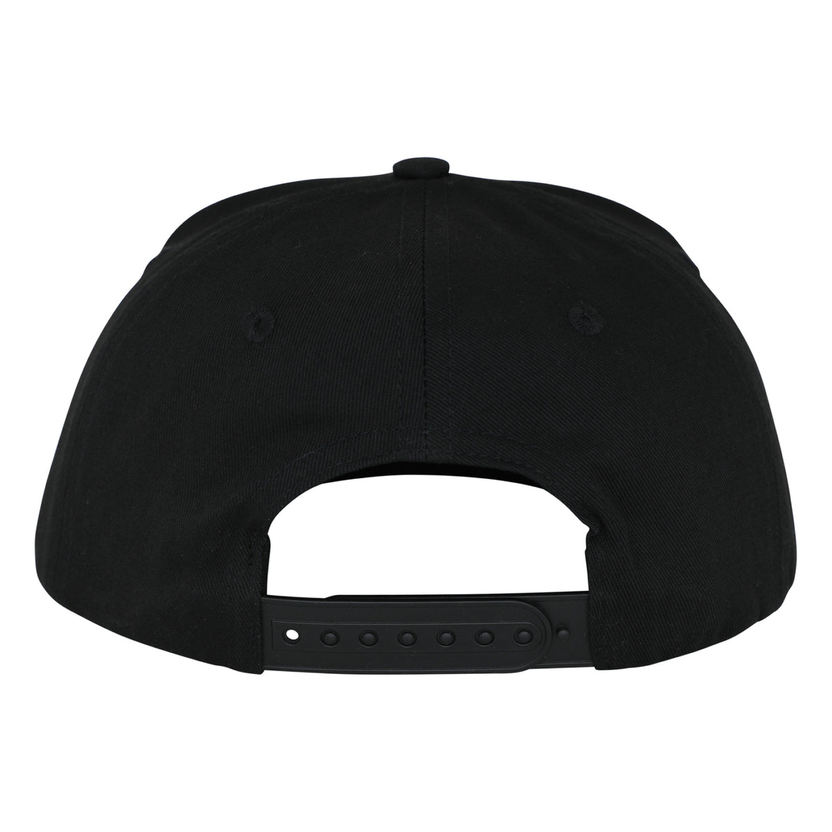Santa Cruz Classic Dot Snapback Hat - Youth Black back