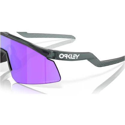 Oakley Hydra - Crystal Black/Prizm Violet