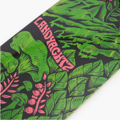 Landyachtz Dugout Escape Complete 31.5" graphic