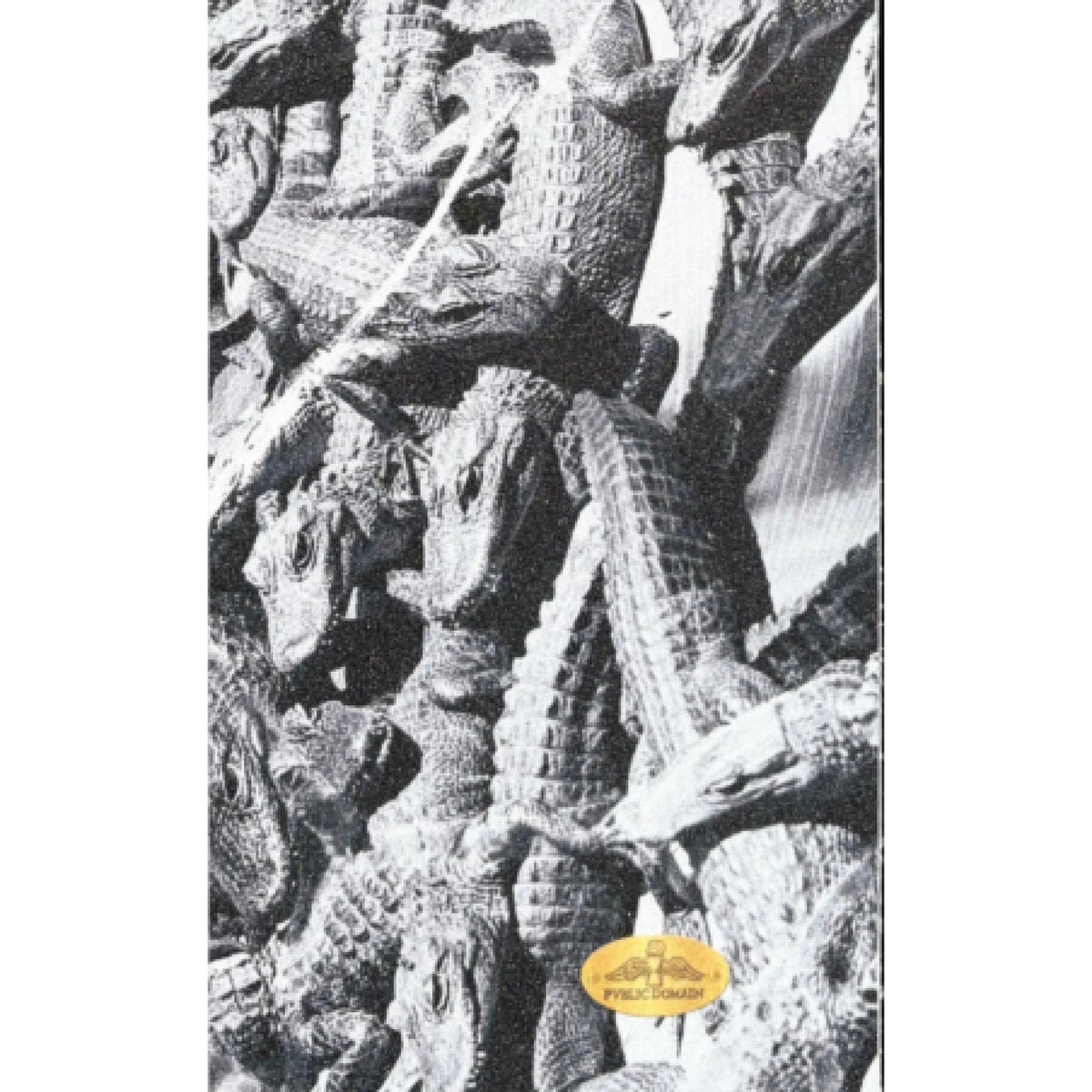 Pvblic Domain Gators Clear Griptape 9" close