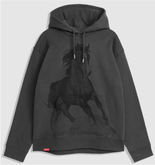 Jacuzzi Horse Hoodie - Charcoal