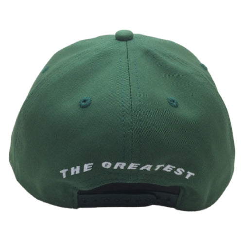 Baker Jits Snapback Hat - Green back