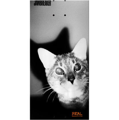 Real X JAWBREAKER Mason Unfun Skateboard Deck 8.28" graphic