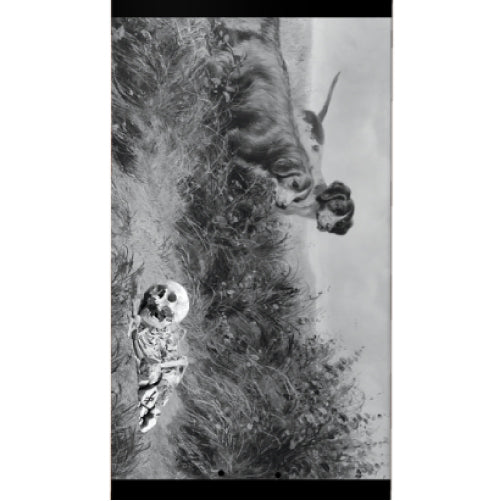 Deathwish Dickson Museum Skateboard Deck 8.5" close
