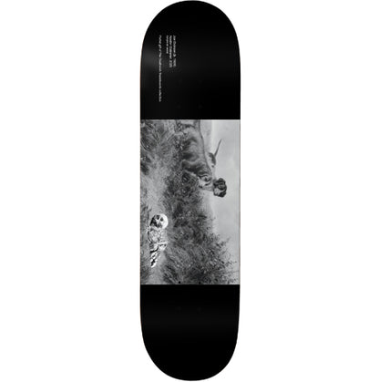 Deathwish Dickson Museum Skateboard Deck 8.5" full