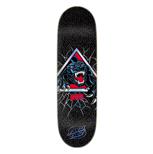 Santa Cruz – Anchors Skateshop