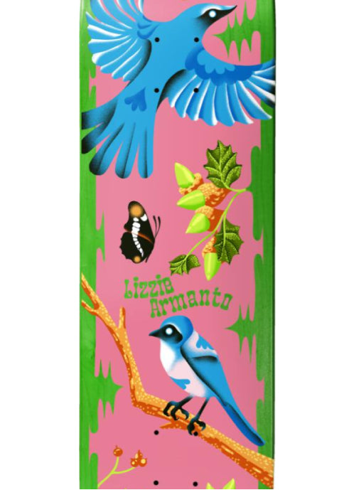 Birdhouse Armanto Theodore Payne Skateboard Deck 8.25" close