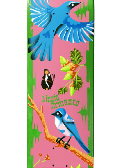 Birdhouse Armanto Theodore Payne Skateboard Deck 8.25" close
