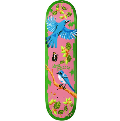 Birdhouse Armanto Theodore Payne Skateboard Deck 8.25"