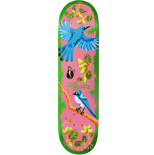 Birdhouse Armanto Theodore Payne Skateboard Deck 8.25"