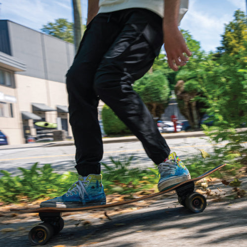 Landyachtz Rally Cat FG Complete 34.9"