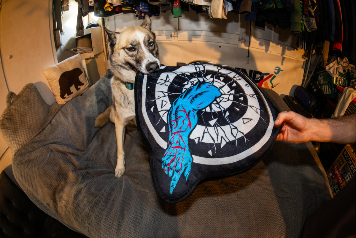 Santa Cruz Roskopp Target Pillow