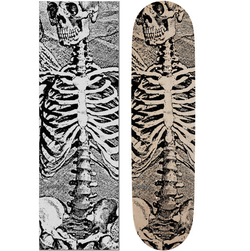 Powell Peralta スケルトンデッキ Powell Peralta Skull & Sword Skeleton Clear Griptape 10.5