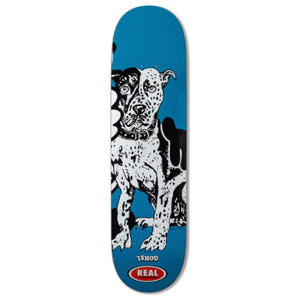 Real X Verdy Ishod SSD26 Skateboard Deck 8.25" full