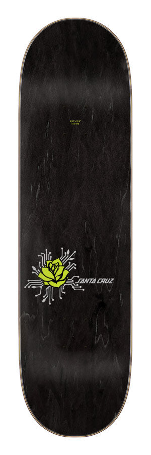 Santa Cruz Jake Wooten Pro Duo Skateboard Deck 8.5"