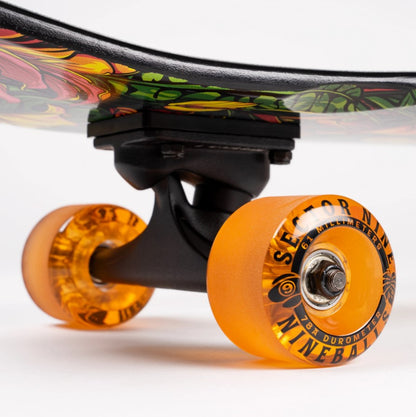 Sector 9 Ft. Point Eden Complete Carving Cruiser 34"