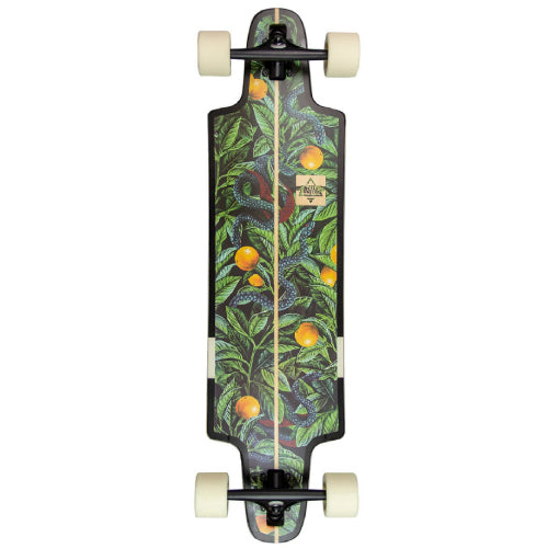 Dusters Harvest Longboard Complete 36"